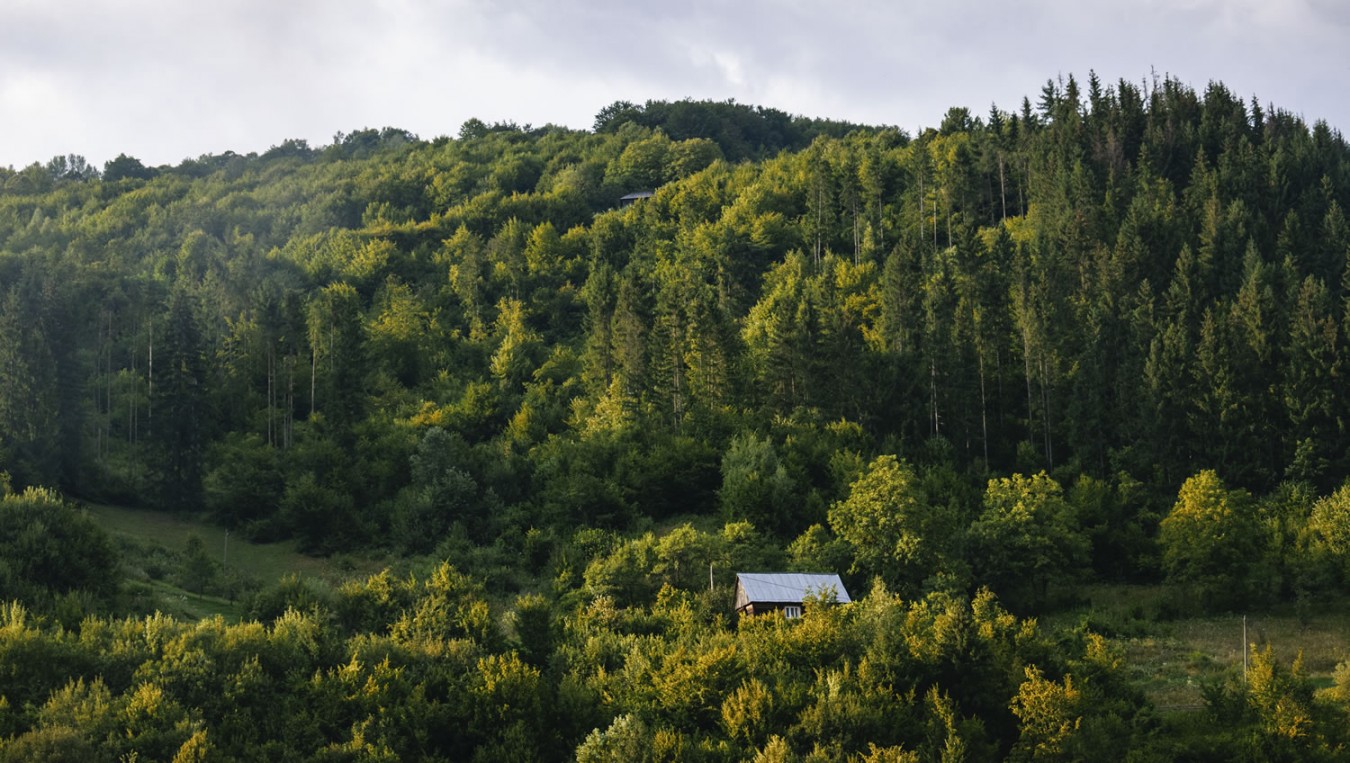 Newland Lodges